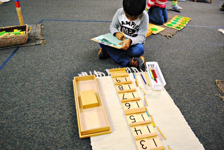 montessori_mathematical_mind