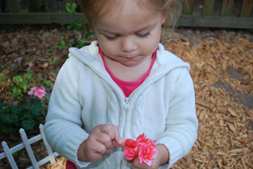independent_preschool_toddler